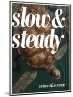 Slow and Steady-Lisa S. Engelbrecht-Mounted Photographic Print