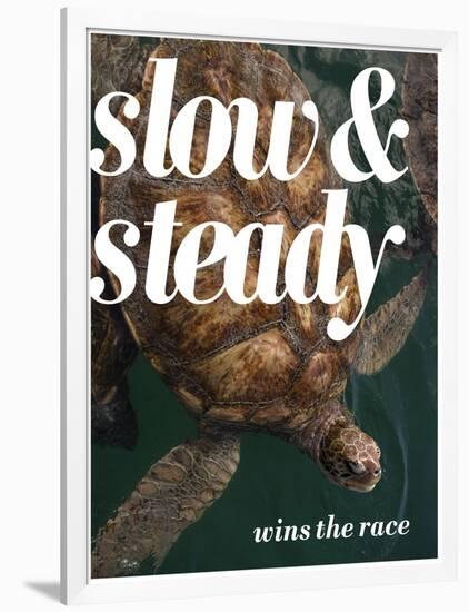 Slow and Steady-Lisa S. Engelbrecht-Framed Photographic Print