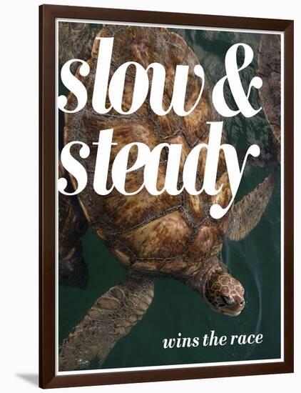 Slow and Steady-Lisa S. Engelbrecht-Framed Photographic Print