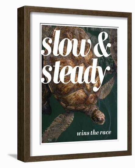 Slow and Steady-Lisa S. Engelbrecht-Framed Photographic Print