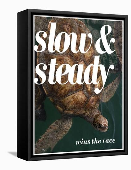 Slow and Steady-Lisa S. Engelbrecht-Framed Stretched Canvas