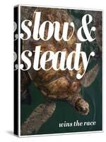 Slow and Steady-Lisa S. Engelbrecht-Stretched Canvas