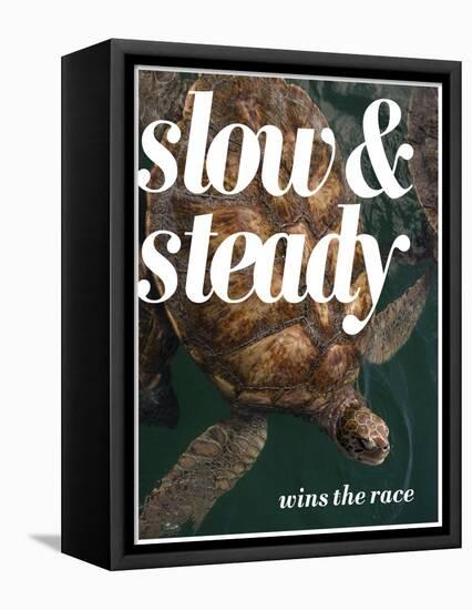 Slow and Steady-Lisa S. Engelbrecht-Framed Stretched Canvas