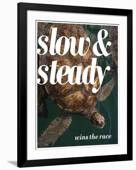 Slow and Steady-Lisa S. Engelbrecht-Framed Photographic Print