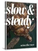 Slow and Steady-Lisa S. Engelbrecht-Stretched Canvas