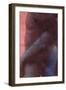 Slow Burn Two-Graham Dean-Framed Giclee Print