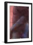 Slow Burn Two-Graham Dean-Framed Giclee Print