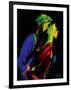 Slow Dance-Rabi Khan-Framed Art Print