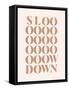 Slow Down-Beth Cai-Framed Stretched Canvas