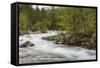 Slow Motion Blur Detail of a Raging River in Hellmebotyn, Tysfjord, Norway, Scandinavia, Europe-Michael Nolan-Framed Stretched Canvas
