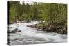 Slow Motion Blur Detail of a Raging River in Hellmebotyn, Tysfjord, Norway, Scandinavia, Europe-Michael Nolan-Stretched Canvas
