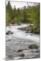 Slow Motion Blur Detail of a Raging River in Hellmebotyn, Tysfjord, Norway, Scandinavia, Europe-Michael Nolan-Mounted Photographic Print