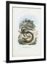 Slow Worm, 1863-79-Raimundo Petraroja-Framed Giclee Print