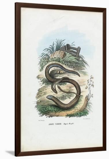 Slow Worm, 1863-79-Raimundo Petraroja-Framed Giclee Print