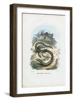 Slow Worm, 1863-79-Raimundo Petraroja-Framed Giclee Print