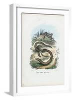 Slow Worm, 1863-79-Raimundo Petraroja-Framed Giclee Print