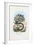 Slow Worm, 1863-79-Raimundo Petraroja-Framed Giclee Print