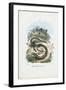 Slow Worm, 1863-79-Raimundo Petraroja-Framed Giclee Print