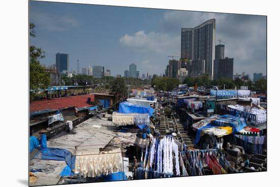 Slum Washing Ghats Surrounded by Expensive Residential Developments, Mumbai (Bombay), Maharashtra-James Strachan-Mounted Premium Photographic Print