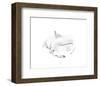 Slumber-Kellas Campbell-Framed Art Print