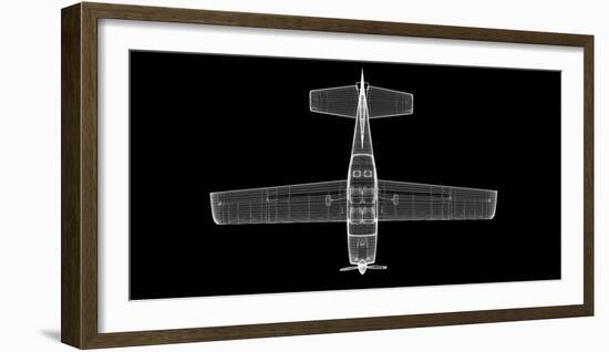 Small Airplane-Podsolnukh-Framed Photographic Print