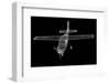 Small Airplane-Podsolnukh-Framed Photographic Print