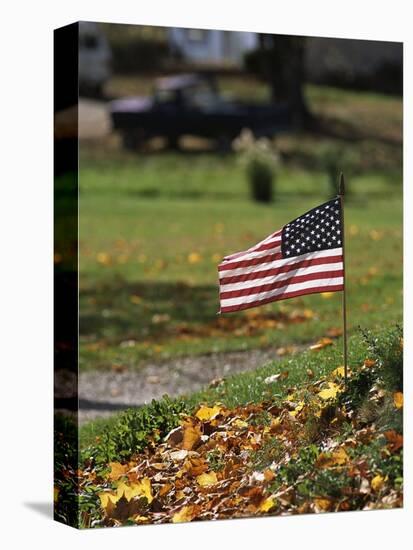 Small American Flag Posted in Yard-Bob Rowan-Stretched Canvas