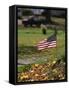 Small American Flag Posted in Yard-Bob Rowan-Framed Stretched Canvas