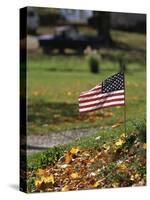 Small American Flag Posted in Yard-Bob Rowan-Stretched Canvas