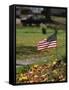 Small American Flag Posted in Yard-Bob Rowan-Framed Stretched Canvas