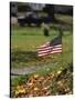 Small American Flag Posted in Yard-Bob Rowan-Stretched Canvas