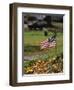 Small American Flag Posted in Yard-Bob Rowan-Framed Photographic Print