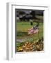 Small American Flag Posted in Yard-Bob Rowan-Framed Photographic Print