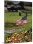 Small American Flag Posted in Yard-Bob Rowan-Mounted Photographic Print