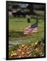 Small American Flag Posted in Yard-Bob Rowan-Framed Photographic Print