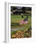 Small American Flag Posted in Yard-Bob Rowan-Framed Photographic Print