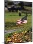 Small American Flag Posted in Yard-Bob Rowan-Mounted Photographic Print