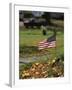 Small American Flag Posted in Yard-Bob Rowan-Framed Photographic Print