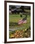 Small American Flag Posted in Yard-Bob Rowan-Framed Photographic Print