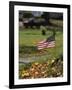 Small American Flag Posted in Yard-Bob Rowan-Framed Photographic Print