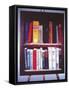 Small American Library, 1985-Terry Scales-Framed Stretched Canvas