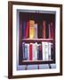 Small American Library, 1985-Terry Scales-Framed Giclee Print