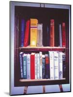 Small American Library, 1985-Terry Scales-Mounted Giclee Print