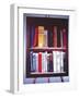 Small American Library, 1985-Terry Scales-Framed Giclee Print