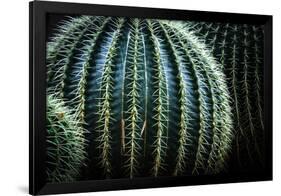 Small And Large Barrel Cactus-Anthony Paladino-Framed Premium Giclee Print