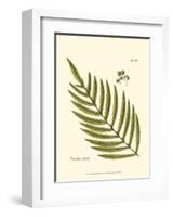 Small Antique Fern I-null-Framed Art Print