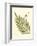 Small Antique Fern I-null-Framed Art Print