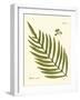 Small Antique Fern I-Vision Studio-Framed Art Print