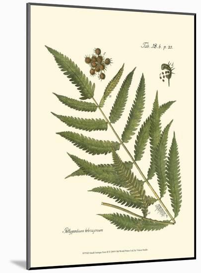 Small Antique Fern II-null-Mounted Art Print