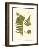 Small Antique Fern III-null-Framed Art Print